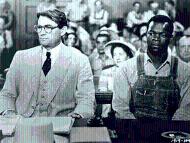 قتل طائر بريء قتل طائر بريء